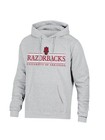 Ncaa Men Team Logo Fleece Hoodie Sweatshirt 3xl Pullover College Fan Gear