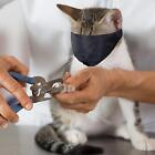 Gentle And Soft Cat Muzzle For Grooming  Nylon - Small
