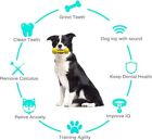 Dog Chew Toys For Aggressive Chewers  Durable Pet Teeth Cleaning Dog Toys