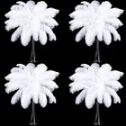 100 Pcs Natural Ostrich Feathers Plumes For Centerpieces 10-12 Inch 25-30 Cm    
