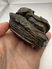 Cast Bronze Sleeping Baby Squirrel Sculpture Patina 3d Effect Small 6 8 Oz