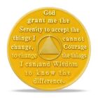 1 Year Sobriety Coin  Gold Aa Chip Medallion Alcoholics Anonymous One Year Sober