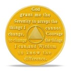 15 Year Sobriety Coin Aa Chip Medallion Alcoholics Anonymous Fifteen Years Sober