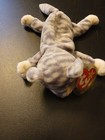 Ty Beanie Babies Cats Lot Of 10 Plush Stuffed Animals Scat Stripes Silver 2