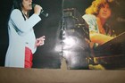 Journey  captured  Poster