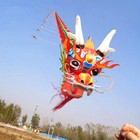 Chinese Dragon Kite Flying Handle Line Traditional Kite Outdoor Game Adults Kite