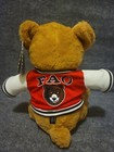 Fao Schwarz 1862 Varsity Jacket Anniversary Teddy Bear Plush