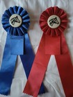 Morgan Horse Head Buttons Horse Show Ribbons Awards Equestrian Events