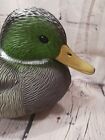 Mallard Duck Plastic Decoys 6 Pack 14  Spduck