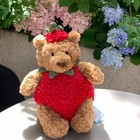 Jellycat Bartholomew Bear Strawberry Plush Stuffed Toy Doll For Children