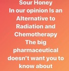 Sourhoney