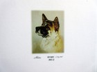 American Akita Pet Dog Magnetic Refrigerator Notepads Set Of 2 To Do List Pads