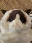 Gund Grumpy Cat 11  Plush Hand Puppet