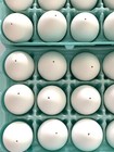 36 Clean Blown Eggs Empty Eggs Hollow Easter Crafts Christmas Ornament Free Ship