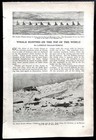    whale Hunting At The Top Of The World    1922 Pictorial Eskimos Champion Hunters