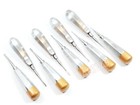 New German 9 Pcs Straight Dental Surgery Extraction Luxating Elevator  gold 