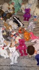 Huge Ty Beanie Babies Lot 1st Generation Etc