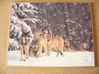 Wolf Wolves Three Pictures Mounted On Particle Board Wall Hangings 7 9  X 9 9 
