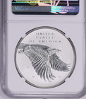 2017-p Early Releases American Liberty Silver Medal Reverse Proof Ngc Pf70