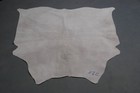 100  New Cowhide Rugs Area Cow Skin Leather  53  X 50   Cow Hide Sa-228