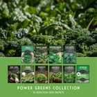 10 Power Greens Seed Collection     Heirloom Collards  10 Pack  Multicolor