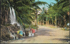 Jamaica - Postcard  ppc   roselle  - 1937 Coronation Issue  Kingston Pmk