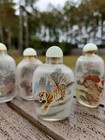 Vintage Chinese Reverse Painted Glass Snuff Bottles  Set Of 6