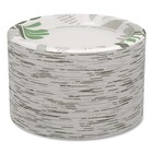 Dixie Sxp10pathpk Pathways 10-1 8  Paper Plates - Green burgundy  125 pk  New