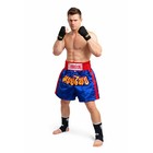 Muay Thai Shorts Fight Boxing Thailand Grappling Martial Arts Gear Satin Fabric