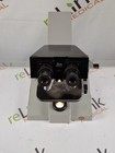 Leitz Binocular Microscope