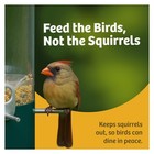 Birds Choice Classic Squirrel Resistant Bird Feeder With Pole Mount Green