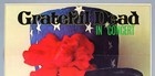 Grateful Dead     Mega Rare Vintage Original 1974 Concert Poster  kieser   a1 