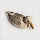 American Wildlife Collection 1987 Herring Gull By Ti Byrd Collectible