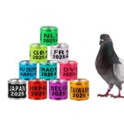 100 Pigeon Rings 2025   Anillos De Palomas 2025 10 Diferrent Color Multicolor 