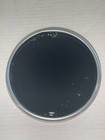 Gm Or Chevy Wa8555 8555 Automotive Basecoat Paint Pick Your Size Ready To Spray