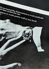 1966 Rolex Submariner 5513 Rare White Border Variation Print Ad 11  X 8 5 