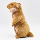 Bh3683 Hansa Prairie Dog 18 Stuffed Animal Japan