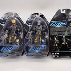 New Alien Vs  Predator Celtic Predator Pvc 7  Action Figure Masked Scar Toys