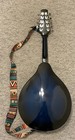 Mulucky A Style Acoustic Mandolin W starter Kit  Case  Tuner  String  Picks-blue