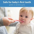 Dr  Brown s Baby And Toddler Toothbrush  1 Count  pack Of 1   Pink Flamingo 