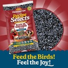 Recipe Selects Black Oil Sunflower Seed Dry Wild Bird Feed  Bird Food  40 Lb 