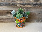 Handcrafted Mini Talavera Clay Planter  4-5    Tall Pot Hand Painted