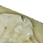 Antique American Figural Fireplace Tile  Providential Tile Works  Nft65