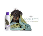  1 All Systems Crisp Coat Shampoo Will Put Back  the Snap 