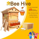 Full Set 7 Auto Flow Beehive Honey Hive Frame  cedarwood Beekeeping Brood Boxes