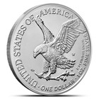 U s  Mint 2022 Silver Eagle W mint Box 1 Oz  999 Silver Burnished Rare Find  1