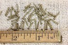 Old 3 8    Solid Brass 50 Vintage Nails Escutcheon Pins Domed Head 18 Gauge Tacks