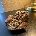 Cretaceous Age Coral Fossil Turned Quartz Specimen - Texas - 64 81 Grams
