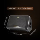 300w Powered Battery Acoustic Guitar Amplifier With Otg