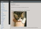 Nzbcat Invitation   Invite - Nzb   Usenet Indexer - Fast Delivery